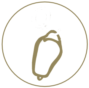 Quinta do Chocalhinho Logo